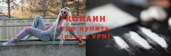молекула духа Осташков