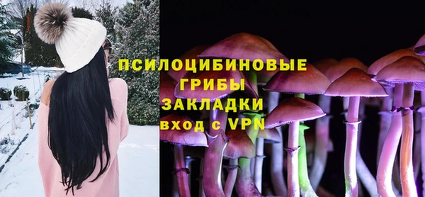 MESCALINE Няндома