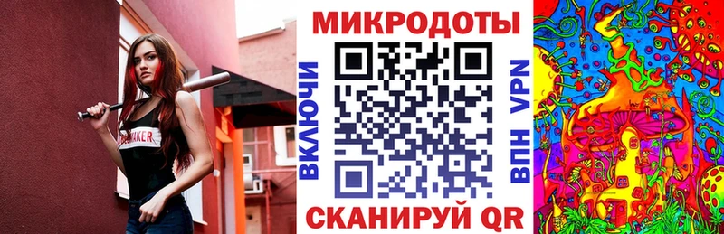 Галлюциногенные грибы Psilocybe  Сясьстрой 